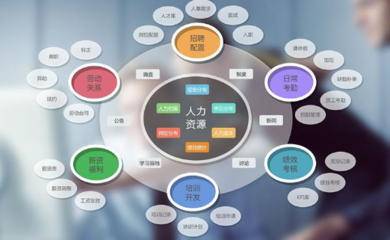 企業(yè)管理軟件與咨詢 雙輪驅(qū)動，賦能企業(yè)數(shù)字化轉(zhuǎn)型